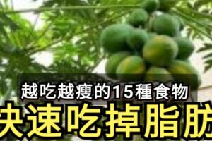 【健康小貼士】減肥不用愁越吃越瘦的15種食物