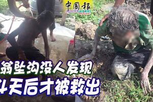 6旬老翁墜溝沒人發現4天後才被救出