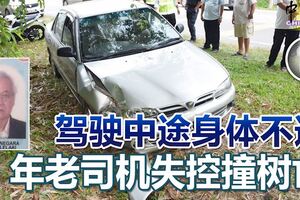 駕駛中途身體不適年老司機失控撞樹亡