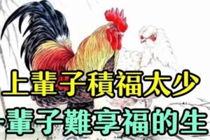 上輩子積福太少的4個生肖，今生奔波勞碌，一輩子難享福