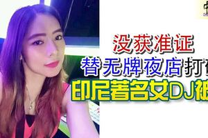 沒獲准證替無牌夜店「打碟」印尼著名女DJ被捕