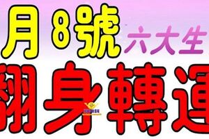 8月8號開始，這幾大生肖翻身轉運