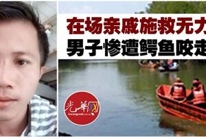 在場親戚施救無力男子慘遭鱷魚咬走