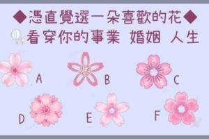 心理測試：六朵花中選一朵，立馬看穿你的事業、婚姻和人生！