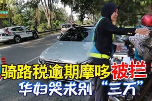 騎路稅逾期5年摩哆被攔華婦哭求別「三萬」