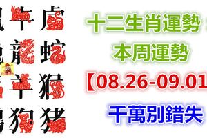 十二生肖運勢：本周運勢【08.26-09.01】千萬別錯失！