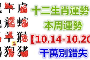 十二生肖運勢：本周運勢【10.14-10.20】千萬別錯失！