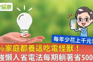 70％家庭都養這吃電怪獸！超強懶人省電法每期躺著省500元