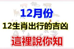 12月份，12生肖出行的吉凶！這裡說你知~