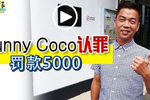 因公開在網路聲稱自己來自私會黨，SunnyCoco認罪罰款5000