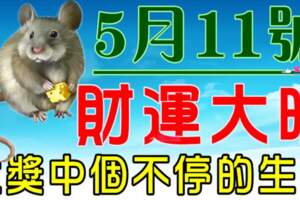 5月11號開始財運大旺，大獎中個不停的生肖