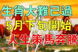 4生肖大難已過，5月下旬開始人生策馬奔騰