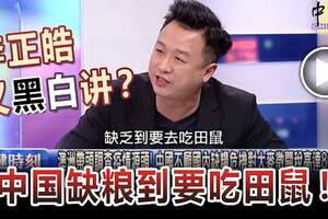 李正皓又黑白講？「中國缺糧到要吃田鼠！」