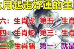 六月即將「走好運」的6生肖，第一名是你嗎?