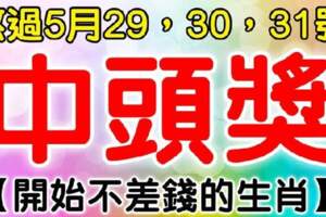 熬過5月最後三天，開始不差錢的生肖