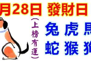 6月28日生肖運勢_兔、虎、馬大吉