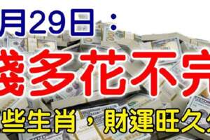 6月29日錢多花不完，財運旺久久的生肖