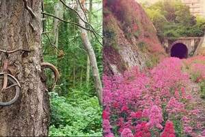 人類消失，地球會變成什麼樣？看這些圖也許能感受到大自然的震撼