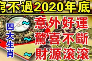 窮不過2020年底，驚喜不斷有意外好運的四大生肖