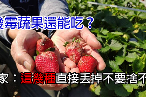 發霉蔬果還能吃？　專家：這幾種直接丟掉不要捨不得