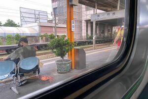 火車站驚現超生猛海洋寵物　網怒轟：居然沒有牽繩！