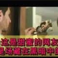 你以為這是甜蜜的網友見面？其實是場藏在黑暗中的犯罪