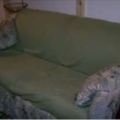 大學生花了650元買回了一張舊沙發，沒想到一掀開竟讓全部人都尖叫