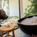 超狂飯店用最暖心的方式吸引一大堆野生動物，棕熊看著你洗澡的體驗畢生難忘啊！