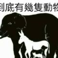 看圖測智商》有人看出4種動物，有人看出10種...你能找出幾種呢？（快睜大眼找找～）