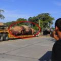 鏡頭下：一輛卡車拖著的「巨型生物」，得知真相後，路人紛紛掉下眼淚！