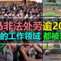 大馬非法外勞逾200萬，所有的工作領域都被霸佔了！