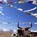 你走過多少個絕美的西藏景點？五個以上才是行者。