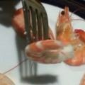 每次吃蝦總會手忙腳亂嗎？超級實用的2秒剝蝦殼秘訣來囉，不沾手的優雅方法超神奇！