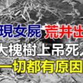 村口現女屍，荒井出血水，大槐樹上弔死人，一切都有原因！