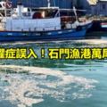 密集恐懼症誤入！石門漁港萬尾魚翻肚