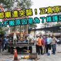 百年興都廟遭突襲！正真原因曝光！賠錢也不搬原因是為了維護這棵樹！