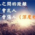 人和人之間的距離，太近了會扎人，太遠了會傷人（深度好文）