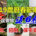 農曆春節期間，家裡擺放這6種花，化煞、招財、保平安