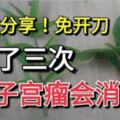 網友分享小秘方！喝了三次，子宮瘤會消散，免開刀！！