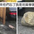 惡鄰用巨石擋她車道，地質女博士「開大絕」電到他們叫不敢！