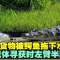 山打根男子遭鱷魚襲擊　隔日遺體尋獲時殘缺不全