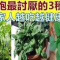 「腫瘤細胞」最怕3種蔬菜，陽臺栽上幾盆，綠色健康又好吃！