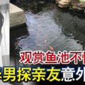 觀賞魚池不慎滑倒華男探親友意外送命