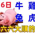 12月6日十二生肖【每日老黃曆】