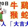 2月20日生肖運勢_牛、雞、龍大吉