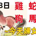 3月8日十二生肖【每日老黃曆】