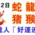 12月12日生肖運勢_蛇、龍、牛大吉