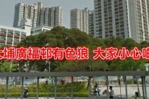 大埔廣褔邨疑色狼出沒　28歲女受害