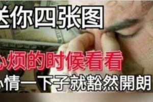 心煩的時候看看這四張圖，心情一下子就豁然開朗！