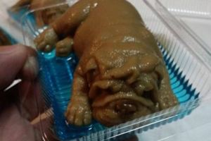 泰國熱銷〝迷你狗〞這居然是食物！